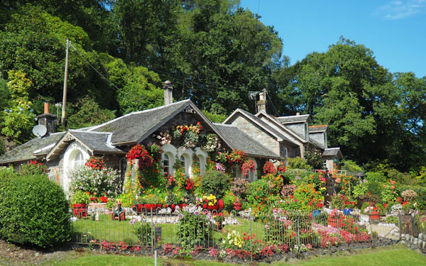 Gardening, Landscaping & Tree Trimming services and verified professionals